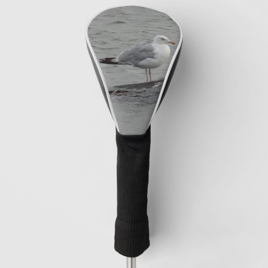 Grote zeemeeuw golfheadcover (Voorkant)