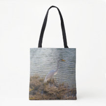Grote Zilverreiger bij het Water - Florida Wildlif
