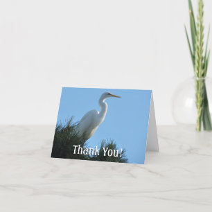 Grote Zilverreiger in zonnig Florida Bedankkaart