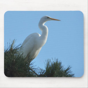 Grote Zilverreiger in zonnig Florida Muismat