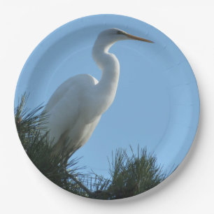 Grote Zilverreiger in zonnig Florida Papieren Bordje