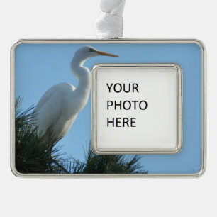Grote Zilverreiger in zonnig Florida Verzilverd Kader Ornament