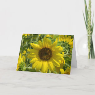 Grote Zonnebloem Wenskaart Kaart