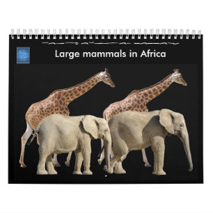 Grote zoogdieren in Afrika 12-maands kalender