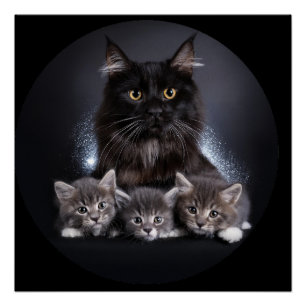 Grote zwarte kat en haar 3 Kittens poseren voor on Perfect Poster