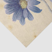 Groter Frans Roos Lady Bee Flower Carte Postale Tissuepapier (Detail)