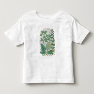 Grotere Celandine of Poppy Kinder Shirts