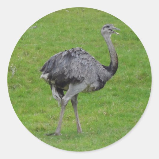 Grotere Rhea #1 Sticker (Voorkant)