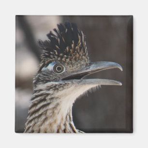 Grotere Roadrunner Magnet Magneet