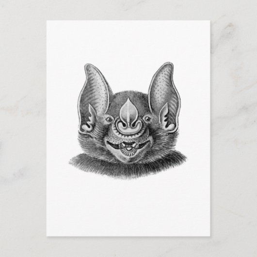 Grotere snufje briefkaart (Voorkant)