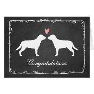 Grotere Zwitserse bergen Dogs Wedding Congrats