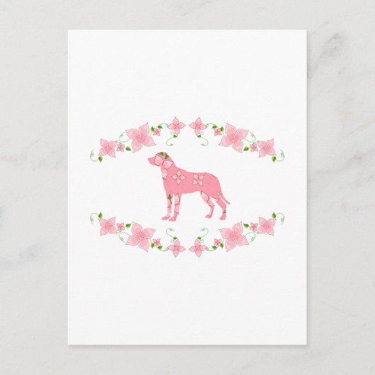 Grotere Zwitserse berghond Briefkaart (Voorkant)