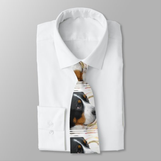 Grotere Zwitserse berghond Stropdas (Gebonden)