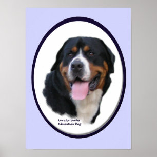 Grotere Zwitserse mountain Dog Art-afdrukken Poster
