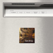 Grotte de Neptune, avec aimant texte "Sardaigne" (In Situ (Lave-vaisselle))