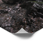 Grotto Herfsten Smoky Mountain Nat'l Park Poster (Hoek)