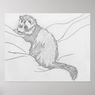 "Grouch" Ferret Drawing Poster