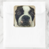 Grouchy Boston Terrier Vierkante Sticker (Tas)