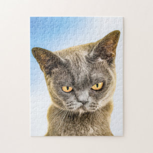 GROUCHY CUTE KITTY CAT ART JIGSAW PUZZZLE LEGPUZZEL
