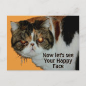 Grouchy Grumpy Cat Exotic Korthaar Perzisch Briefkaart (Voorkant)