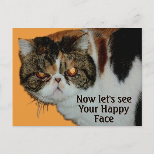 Grouchy Grumpy Cat Exotic Korthaar Perzisch Briefkaart (Voorkant)
