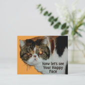 Grouchy Grumpy Cat Exotic Korthaar Perzisch Briefkaart (Staand voorkant)