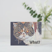 Grouchy Grumpy Cat Funny Verjaardag Briefkaart (Staand voorkant)