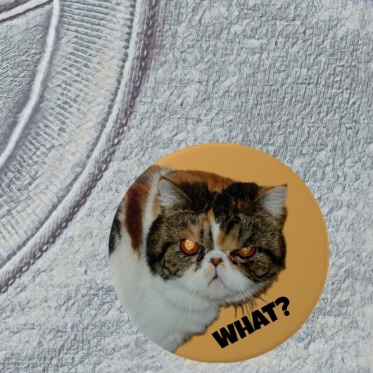 Grouchy Grumpy Cat Wat? Grappig fotografisch Ronde Button 7,6 Cm