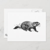 Ground Hog Briefkaart (Voorkant / Achterkant)