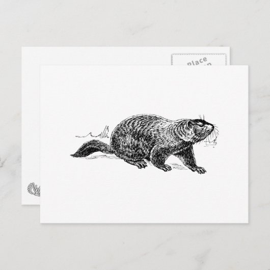 Ground Hog Briefkaart (Voorkant / Achterkant)