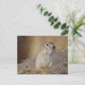 Ground Squirrel Briefkaart (Staand voorkant)