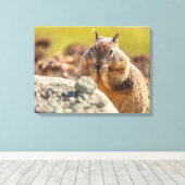 Ground Squirrel Canvas Afdruk (Insitu (Houten vloer))