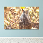 Ground Squirrel Canvas Afdruk (Insitu (Houten vloer))