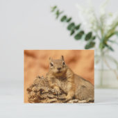 Ground Squirrel Foto Briefkaart (Staand voorkant)