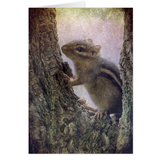 Ground Squirrel Grunge (Voorkant)