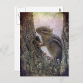 Ground Squirrel Grunge Briefkaart (Voorkant / Achterkant)