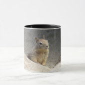 Ground Squirrel Mok (Midden)