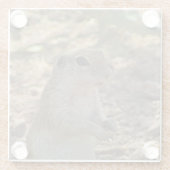 Ground Squirrel Permanent Fotowoestijn Glazen Onderzetter (Achterkant)