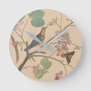 Ground Thrush and Moth on an Orchid Branch Ronde Klok