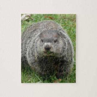 Groundhoetsen Legpuzzel