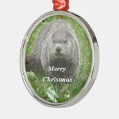 Groundhoetsen Metalen Ornament (Links)