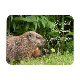Groundhog aka Woodchuck met bloem Magneet