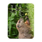 Groundhog aka Woodchuck met bloem Magneet (Verticaal)