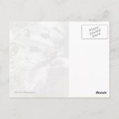 Groundhog Babies Briefkaart (Achterkant)