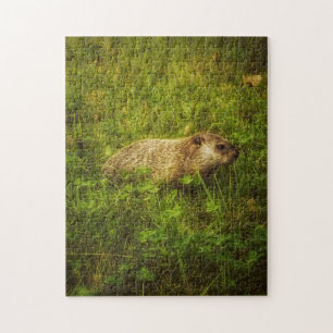 Groundhog dans un puzzle de champ