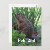 Groundhog Day Briefkaart (Voorkant / Achterkant)