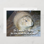 Groundhog Day Briefkaart (Voorkant / Achterkant)