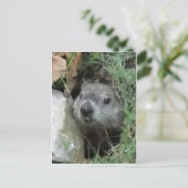 Groundhog Day Briefkaart (Staand voorkant)