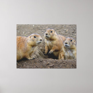 Groundhog Day Canvas Afdruk