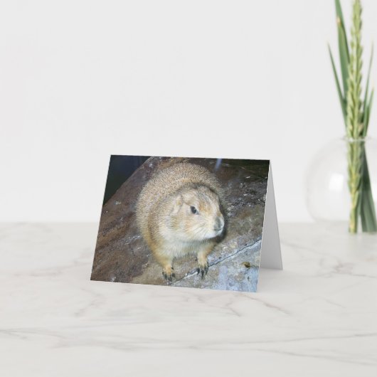 Groundhog Day Card Kaart (Voorkant)